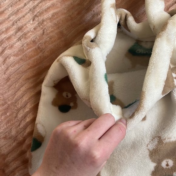 This is a soft teddy bear bag - Picture 2 of 3